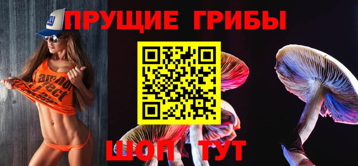 Протвино  Галлюциногенные грибы мухоморы  Вход с VPN 